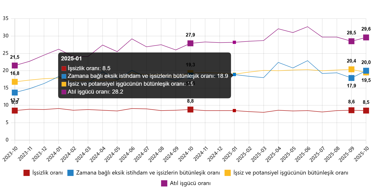 Türkiye İstatistik Kurumu Ekim 2025 İstihdam ve İşsizlik Göstergeleri - Mevsimsel Düzeyler ve Genç Nüfus Analizi