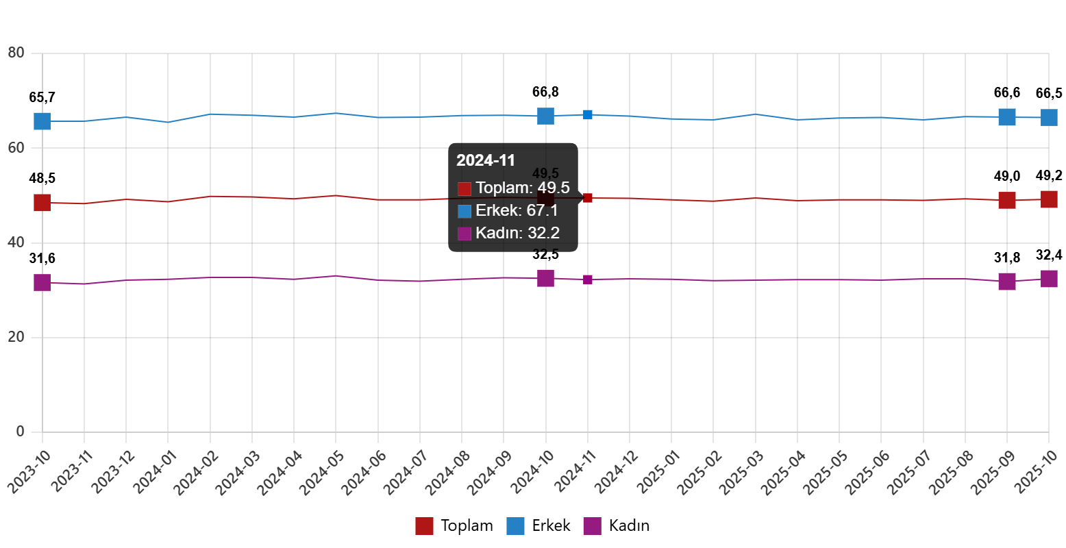 Türkiye İstatistik Kurumu Ekim 2025 İstihdam ve İşsizlik Göstergeleri - Mevsimsel Düzeyler ve Genç Nüfus Analizi