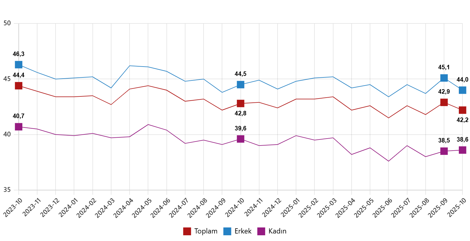 Türkiye İstatistik Kurumu Ekim 2025 İstihdam ve İşsizlik Göstergeleri - Mevsimsel Düzeyler ve Genç Nüfus Analizi