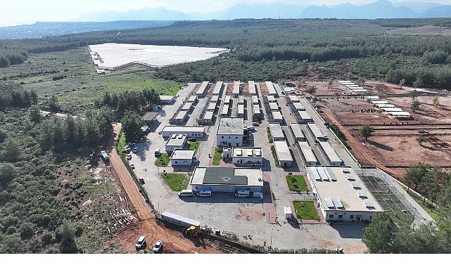 Antalya Sokak Hayvanları İçin 2025 Yılı: Sahiplendirme, Kısırlaştırma ve Tedavi Çalışmaları