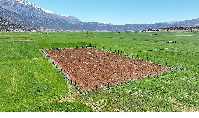 Antalya’da Tarımsal Sulama Altyapısında 2019-2025 Döneminde Genişleme ve Aq Kooperatifleşme Destekleri