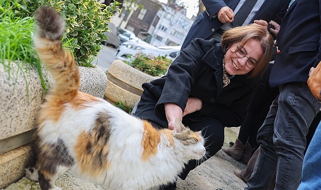 Ata Tohumu ile Sağlıklı Nesiller İçin Yerel Destek: Maltepe Belediyesi ve LÖSEV İşbirliği