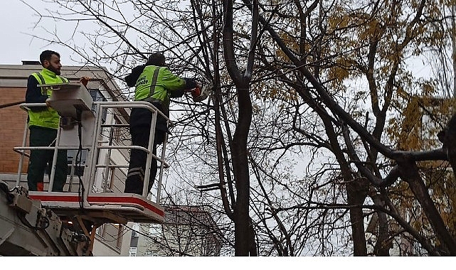 Bakırköy’de Fırtına ve Yağış Hazırlıkları: Ekipler Sahada Ağaç ve Su Sorunlarına Karşı Koordineli Çalışıyor