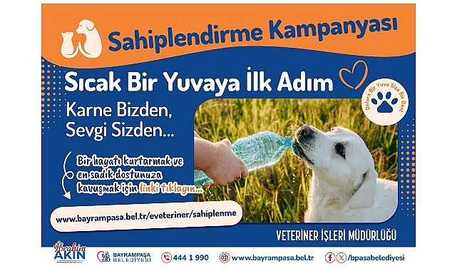 Bayrampaşa Belediyesi Sahiplendirme Kampanyasıyla Sokak Hayvanlarına Sıcak Bir Yuva