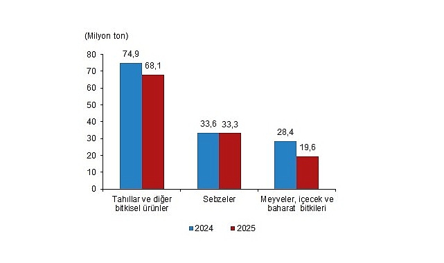 Bitkisel Üretimde 2025 Yılına Ait Özet: Üretim Miktarlarında Belli Değişimler