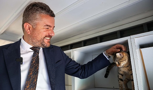 Buca’da Sokak Hayvanlarına Yeni Yuva: 2025 Sahiplendirme Başarıları ve Ücretsiz Tedaviler