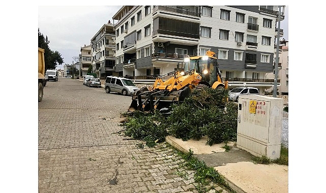 Didim’deki Fırtına ve Yağışla Mücadele: Belediye Ekipleri Sahada Hızlı Müdahale