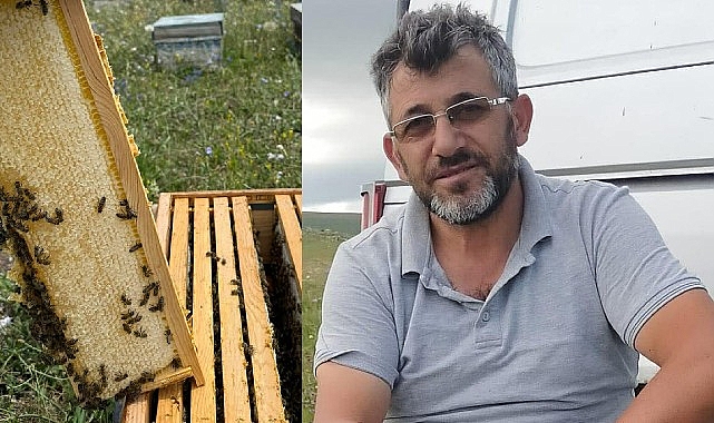 Doğanın Huzuruyla Balın İzinde: Ali Yağışan’ın Arıcılık Uzlaşısı