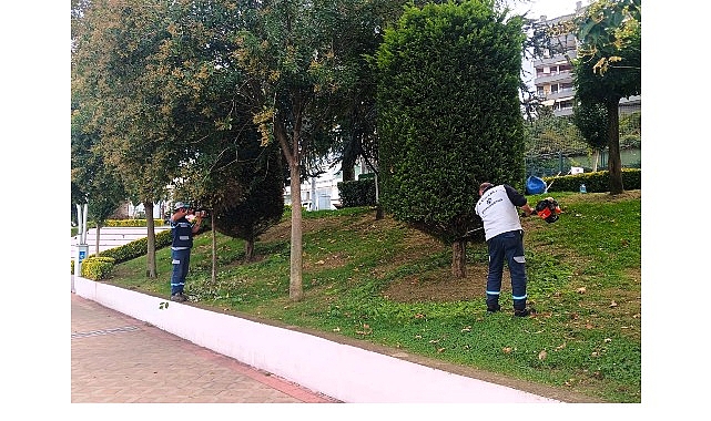 Gölcük Değirmendere Sahilinde Peyzaj Bakımında Yeni Bir Denge ve Estetik Dokunuş