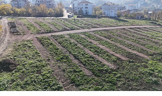 Gölcük Kent Mezarlığı ve Panayır’da Yeni Mezar Alanları ile Uzun Vadeli Çözüm