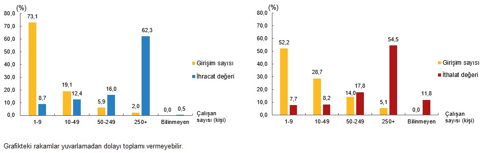 Hizmet Ticareti 2023: Girişimler Bazında İhracat ve İthalat Paylarıyla Türkiye Piyasası