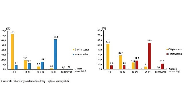 Hizmet Ticareti 2023: Girişimler Bazında İhracat ve İthalat Paylarıyla Türkiye Piyasası