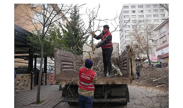 Keçiören’de Kış Mevsiminde de Yeşil Dokuya Özen: Ağaç Budama ve Peyzaj Bakımı