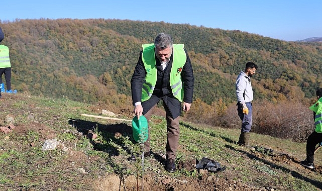 Kocaeli Gönüllülerinin Ağaçlandırma Etkinliği: 250 Fidanla Yeşeren Gelecek