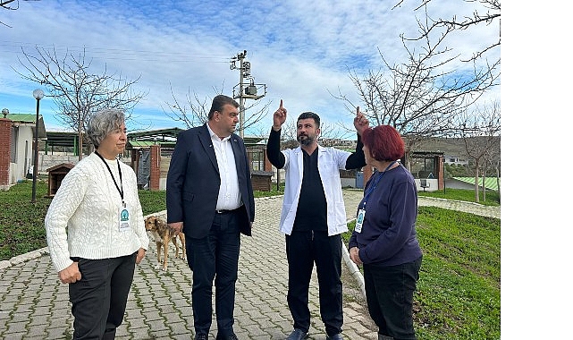Kulübe Destek Kampanyasıyla Sokak Hayvanlarına Yeni Yaşam Alanı
