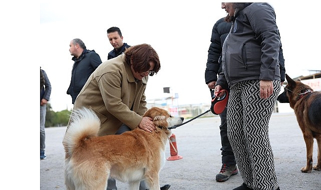 Mavişehir Yenileme Projesiyle Şehrin Kalitesi Artıyor: Yaşam Alanları ve Hizmetler Yeniden Şekillendi
