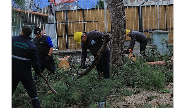 Osmangazi Belediyesi: Lodos ve Sağanakta Hızlı Müdahale ve Güvenli Umumi Alanlar