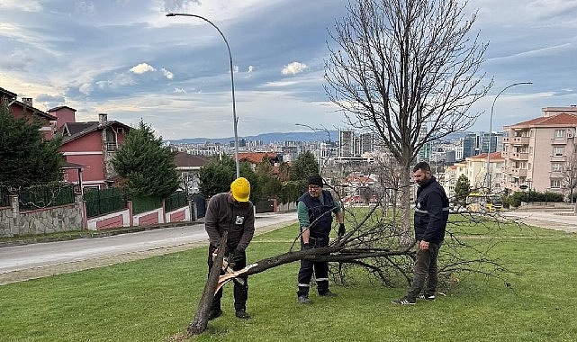 Osmangazi’de Şiddetli Lodosun Etkileri ve Ekiplerin Hızlı Müdahalesi