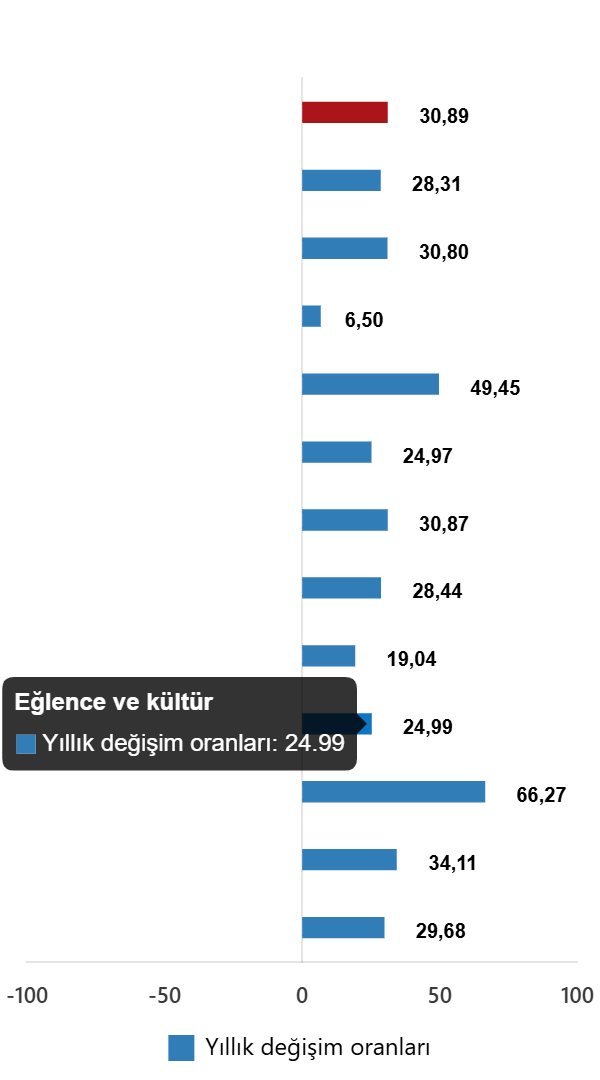 TÜFE Göstergeleri ve Özel Kapsamlı TÜFE: Aralık 2025 Verileri ve Aylık-Yıllık Değişimler