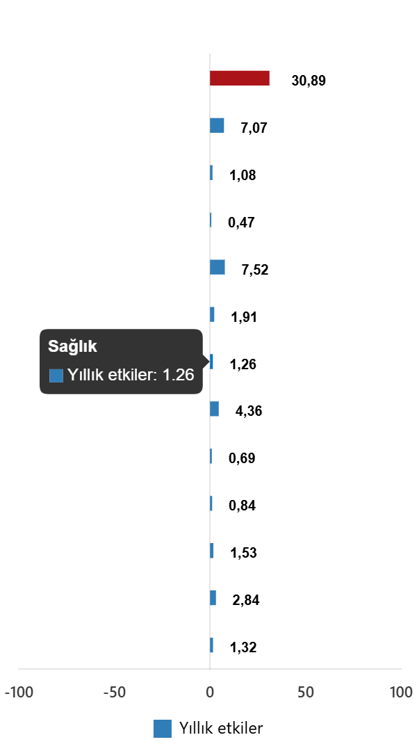 TÜFE Göstergeleri ve Özel Kapsamlı TÜFE: Aralık 2025 Verileri ve Aylık-Yıllık Değişimler