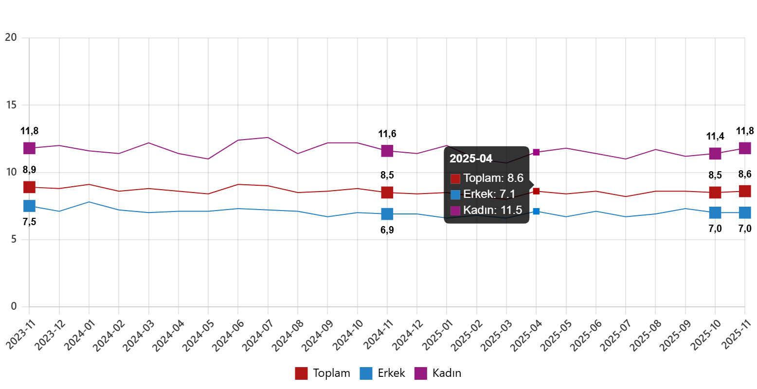 Türkiye İşgücü Endeksi Kasım 2025: Mevsimsel Dışında İşsizlik ve İstihdam Dengeleri