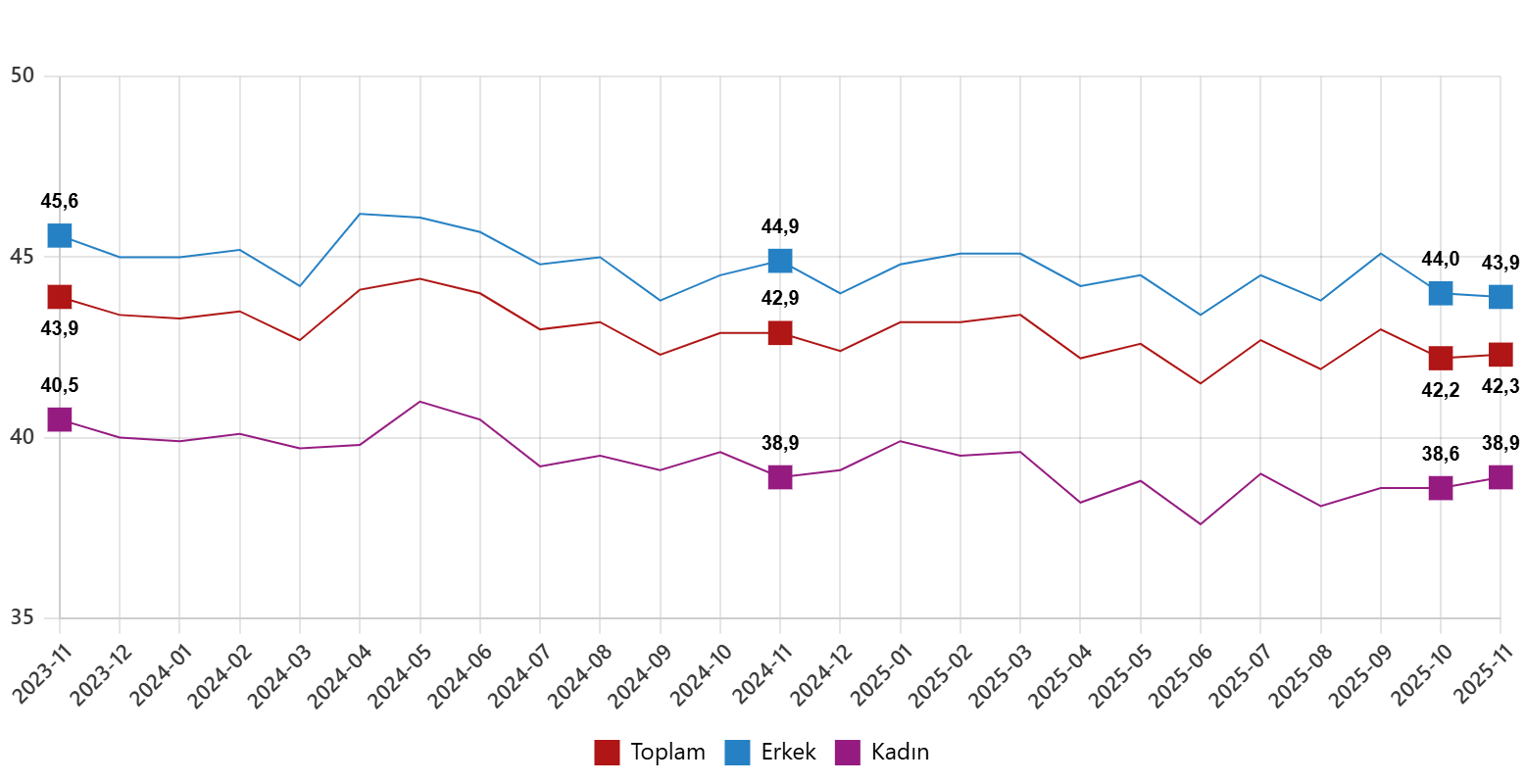 Türkiye İşgücü Endeksi Kasım 2025: Mevsimsel Dışında İşsizlik ve İstihdam Dengeleri