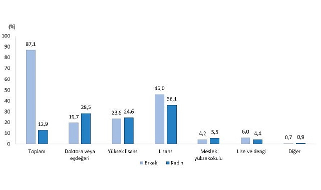 Türkiye Teknogirişim Ekosistemi: Yapılan İstatistiklerle Derinlemesine İnceleme ve Stratejik İçgörüler
