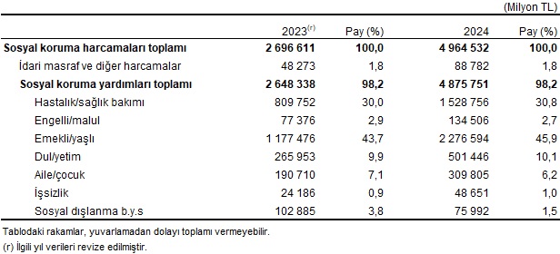 Türkiye'de 2024 Sosyal Koruma Harcamaları ve Payları: İçerik Özeti