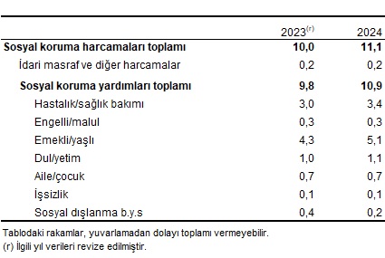 Türkiye'de 2024 Sosyal Koruma Harcamaları ve Payları: İçerik Özeti