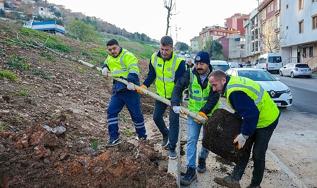 Zümrütevler’de Geri Dönüşüm Odaklı Park Yenilemeleri ve Yeni Park Projeleri