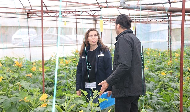 Antalya’da Tarımsal Yardımlar Devam Ediyor: Hortum ve Fırtına Zararları İçin Sera Naylonu Dağıtımı 145 Bin m2