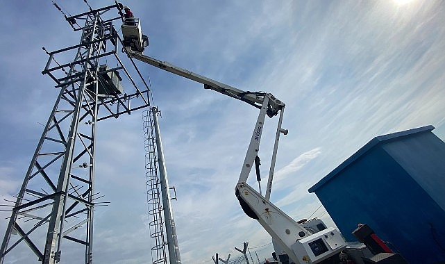 Güvenli Göç Yolları: Türkiye’de 5.000 Elektrik Direğinin İzolasyonu ve Nesli Tehlike Altındaki Kuş Türleri İçin Güvenli Göç Koridoru