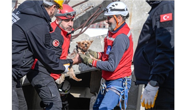 İzmir’de Afetzedeler İçin Hayvan Arama Kurtarma Eğitimine Yoğun Katılım