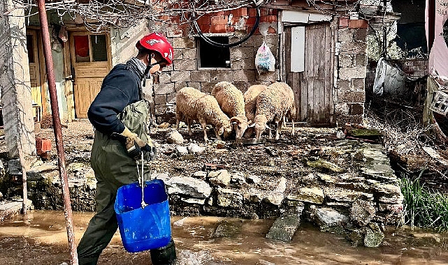 İzmir’de Sağanakta Canlılar İçin Özverili Müdahale: Görenleri Wok Vuran Anlar