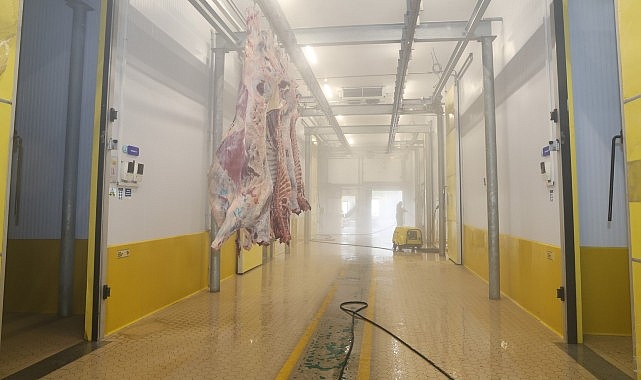 İzmit Solaklar Mezbahasında Modern ve Hijyenik Kesim Süreci