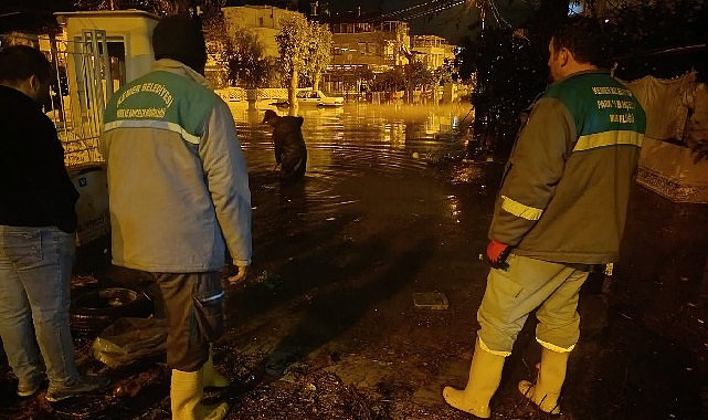 Kemer’de Sağanak Sonrası Temizlik ve Önlemler: Ekipler Seferber