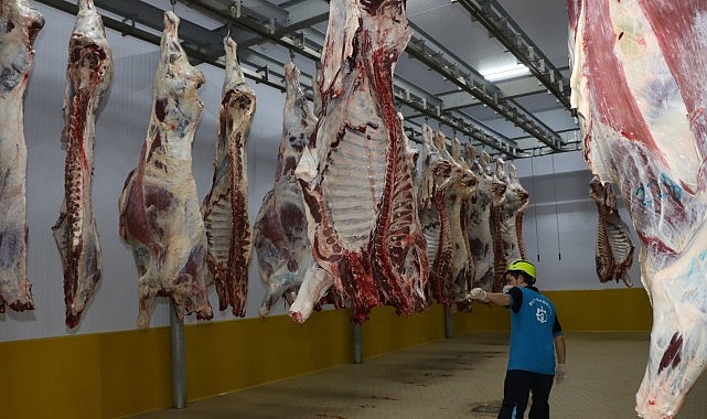 Kocaeli Büyükşehir Mezbahası: Avrupa Standartlarında Sağlık ve Hijyenle Hizmet Veren Modern Tesis