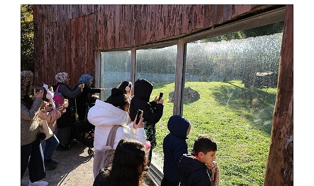 Menderes Belediyesi Sömestr Etkinlikleri: Sasalı Doğal Yaşam Parkı Gezileri ve Çocuklara Dolgun Tatil