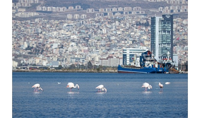 Mercek İzmir: Barınma Hakkı ve Ekonomik Krizin İzmir’deki Yansıması