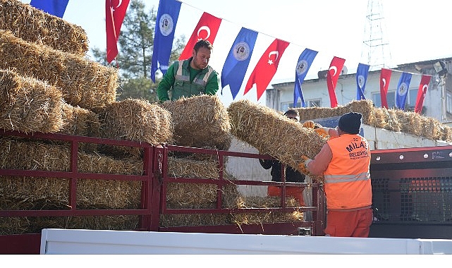 Milas Belediyesi’nden Üretici Destek Yemi ve Saman Dağıtımı: 204 Üreticiye Yöresel Destek
