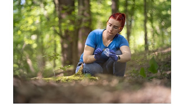 Women in STEM Burs Programı: Türkiye’den Lisans Mezunu Kadınlar için İngiltere’de Tam Burslu Yüksek Lisans Fırsatı