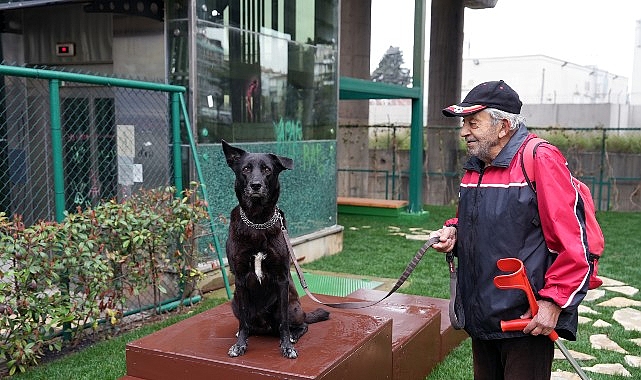 Maltepe’de Patili Dostlar İçin Yeni Park: Pati Park Projesi