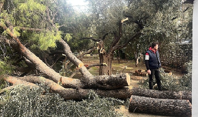 Milas’ta Şiddetli Fırtına Sonrası Ekipler Hızla Müdahale Etti ve Ulaşımı Açıkladı