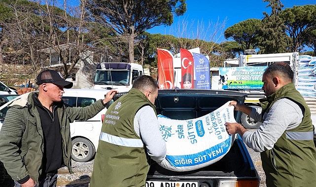 Özlem Çerçioğlu’ndan Yem Desteği: Üreticilere Yönelik Sığır Yemi Hibesi Bozdoğan’da Devam Ediyor