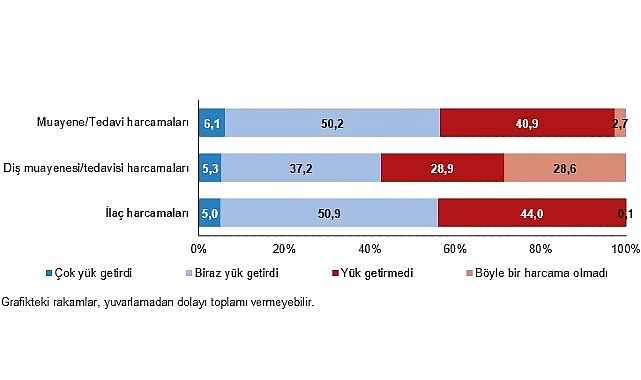 Sağlık Modülü ve Gelir Düzeyi Etkileri: 2025 Bulguları Üzerinden Bir Değerlendirme