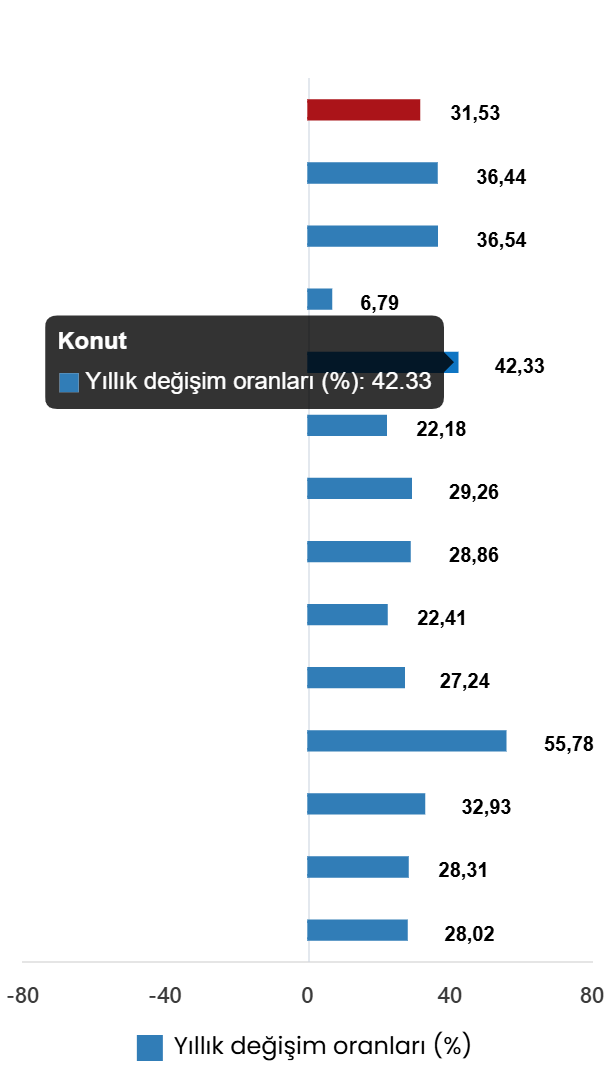 Şubat 2026 TÜFE Raporu: Yıllık ve Aylık Değişimler ile Özel Kapsamlı TÜFE Göstergeleri