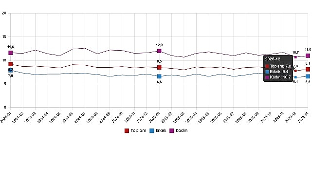 Türkiye İstihdam ve İşgücü Göstergeleri: Ocak 2026 Mevsimsel Düzeyde Dengelenen Güncel Veriler