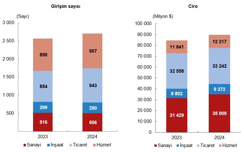 Yurt Dışında Kontrol Edilen Girişimlerin 2024 Ciro ve Dağılım Analizi