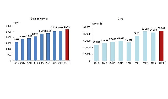 Yurt Dışında Kontrol Edilen Girişimlerin 2024 Ciro ve Dağılım Analizi
