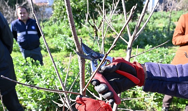 ATASEM Kurs Merkezi’nde Meyve Ağaçlarında Budama ve Aşılama Eğitimi: Uygulamalı Öğrenim ve Ürün Verimliliği Üzerine Odaklanma